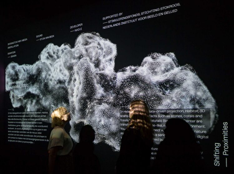 Interaktives projektion im museum